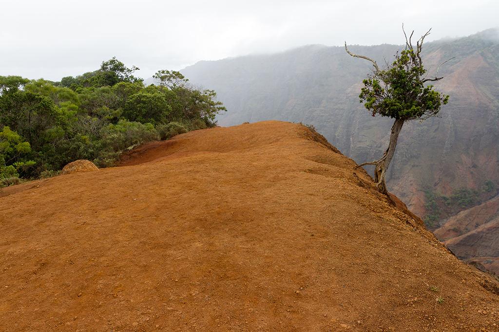 Kauai - 016.jpg